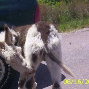 Meet your Posher, Nicole